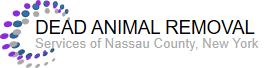 Dead Animal Nassau County | New York | Removal | Service | Bad | Smells | Flies | Walls | Attic | Stinks