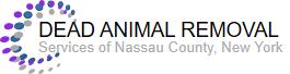 Dead Animal Nassau County | New York | Removal | Service | Bad | Smells | Flies | Walls | Attic | Stinks | Website | Privacy